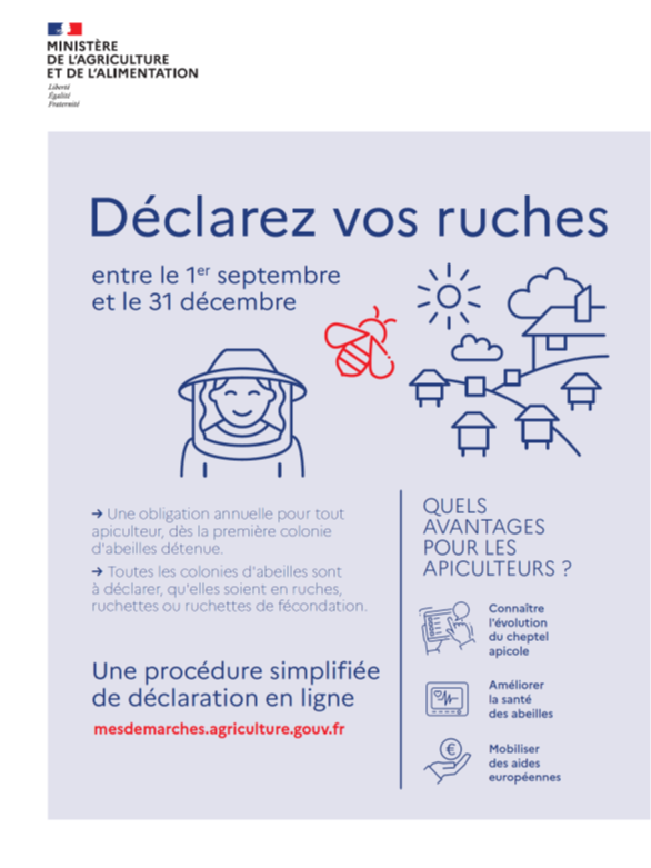 déclaration abeilles